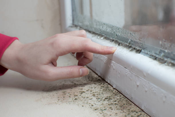 Best Mold Remediation for Healthcare Facilities  in Oakland, NJ
