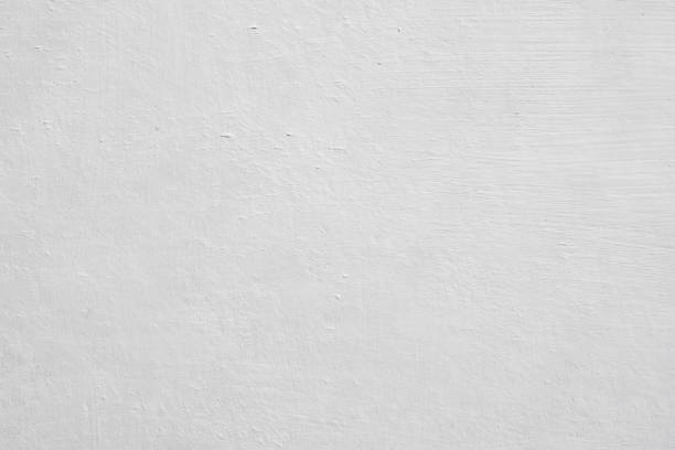 Best Attic Mold Removal  in Oakland, NJ