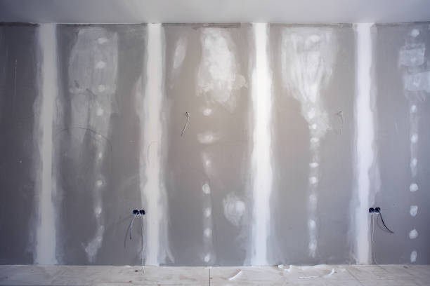  Oakland, NJ Mold Removal Pros